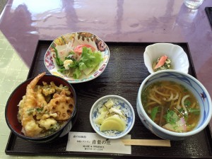 道の駅宇陀路室生_ミニ天丼セット