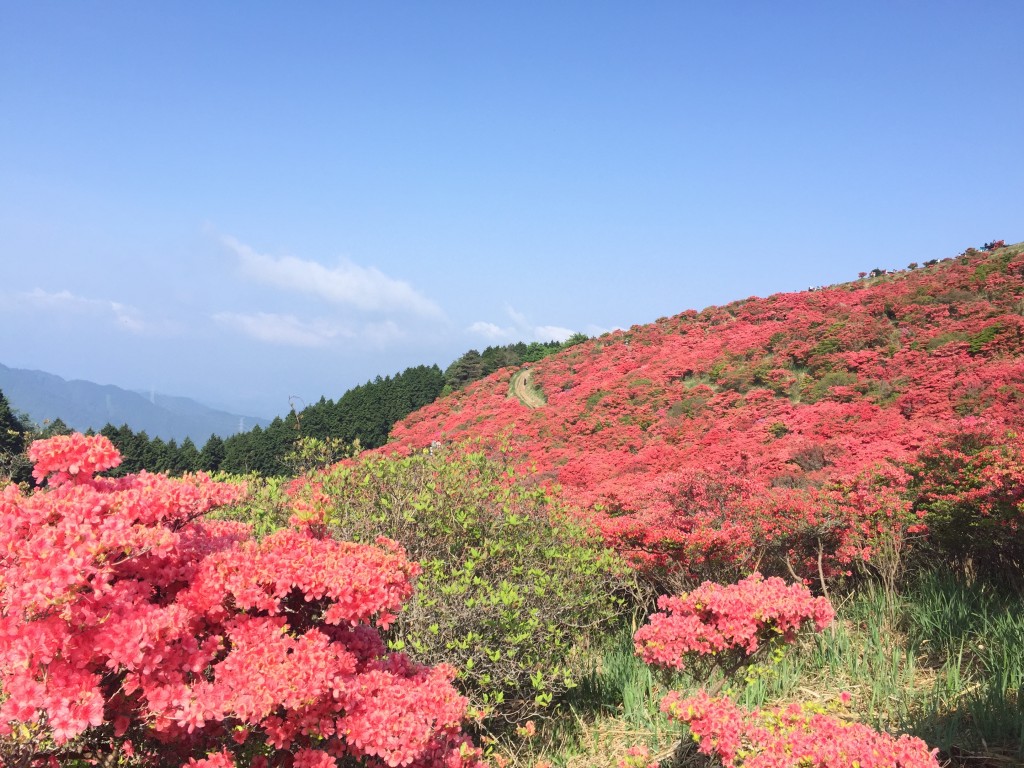 葛城山_012