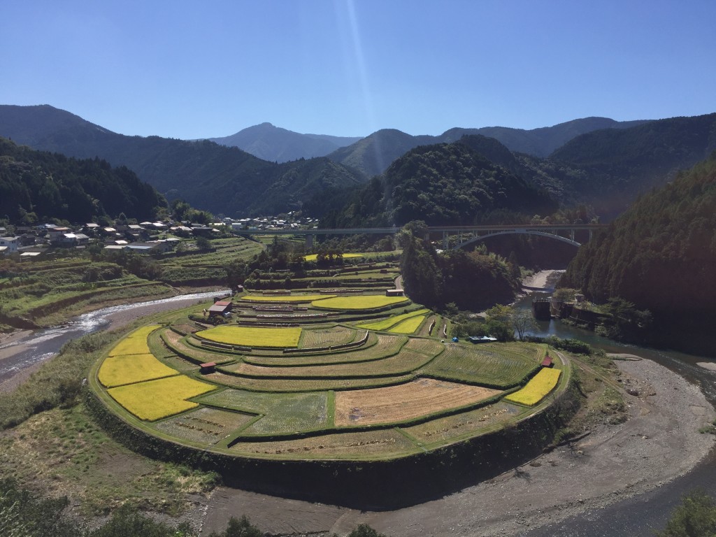 あらぎ島_006