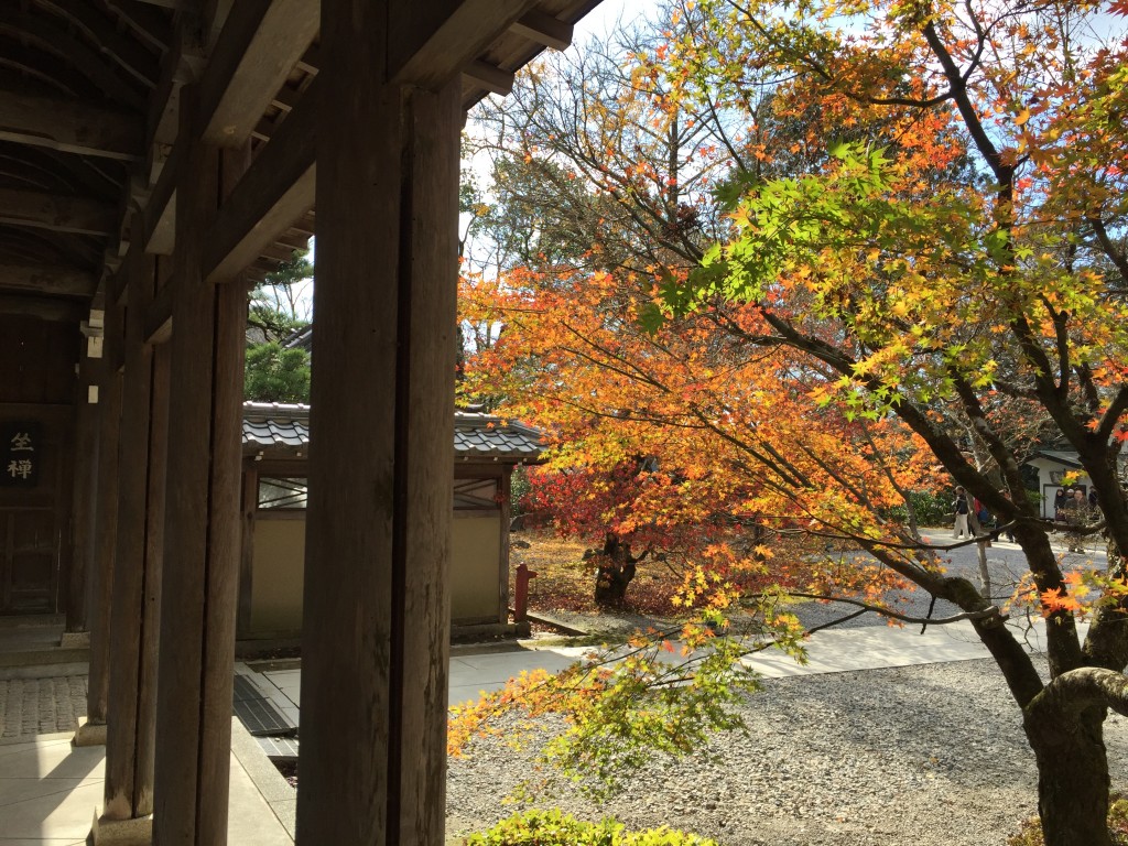 永源寺の秋_000